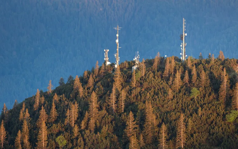 Playlists, Algorithms, and Alpine Radio: Why Spotify Curators Can't Stop Talking About FM Nagano